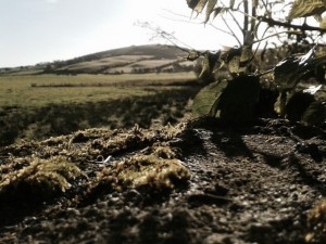 View of Loughcrew Cairns From the North