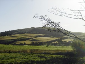 End of Summer cutting at Loughcrew Cairns