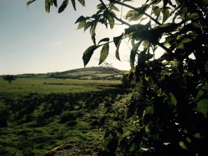Cairn T in the Distance