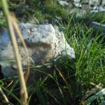 A piece of Quartz in Loughcrew